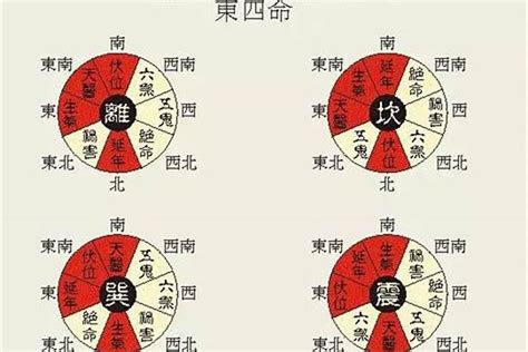 东四命西四命算法|东四命卦和西四命卦的速查表